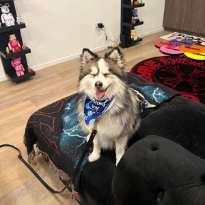 Meet your Posher, Justine